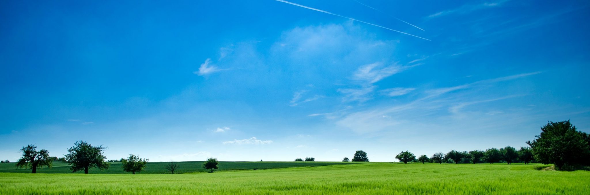 Blue Sky